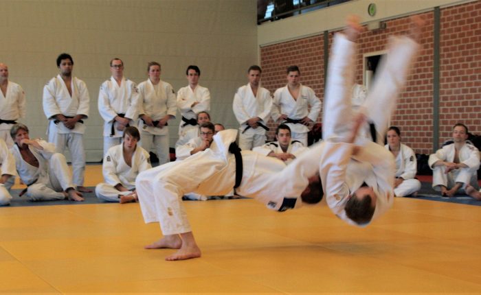 De aantrekkingskracht van kata en een leven lang judo